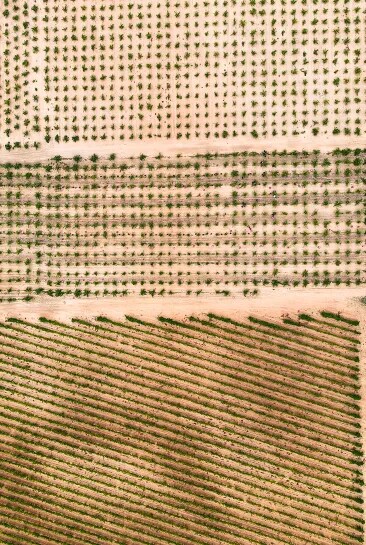 Vista aérea a gran altura de los patrones de los viñedos en Bodega Numanthia, ilustrando la disposición meticulosa de las vides en la región de Toro.