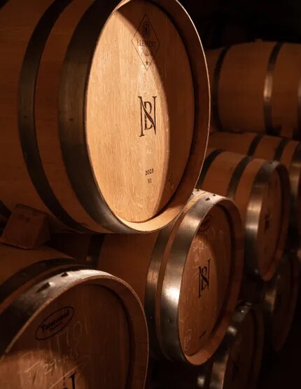 Close-up of some red wine barrels marked with Bodega Numanthia's logo, highlighting the winemaking tradition in the Toro region of Spain.
