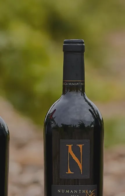 Bodega Numanthia's portfolio of Spanish red wines featuring Termes, Numanthia, and Termanthia bottles, displayed among lush vines in the Toro region, highlighting the premium quality and heritage of Tinta de Toro grape variety
