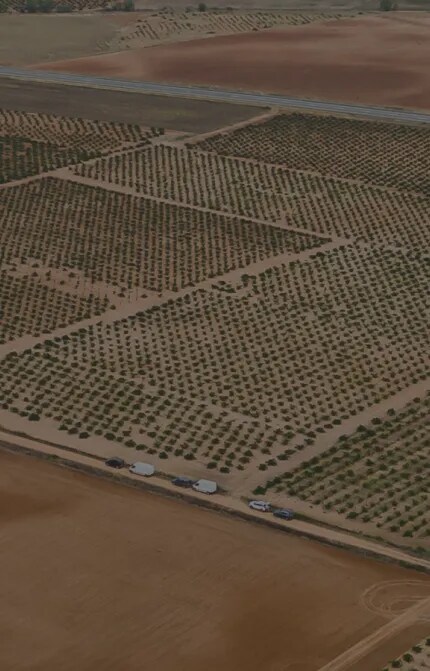Vista aérea expansiva de los viñedos de Bodega Numanthia en la región de Toro, ilustrando el vasto y fértil paisaje que contribuye a los reconocidos vinos de la finca.