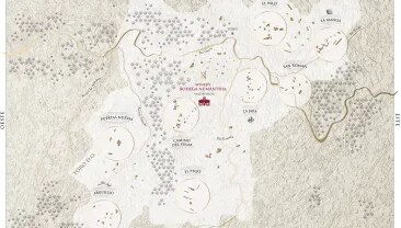 Map of Bodega Numanthia Vineyards in the Toro Region, Spain