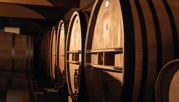 Wooden foudres at Bodega Numanthia winery