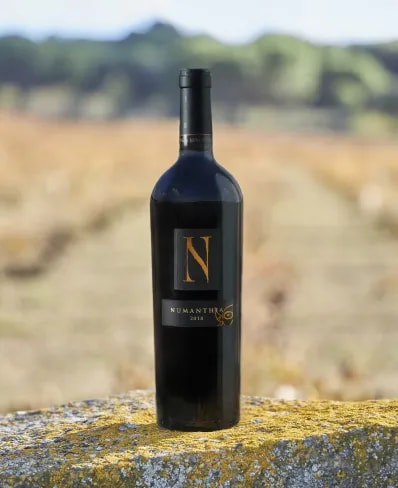 Botella de vino tinto español Numanthia 2018 de Bodega Numanthia colocada sobre una piedra en un viñedo iluminado por el sol, destacando su rico legado y conexión con la región de Toro.