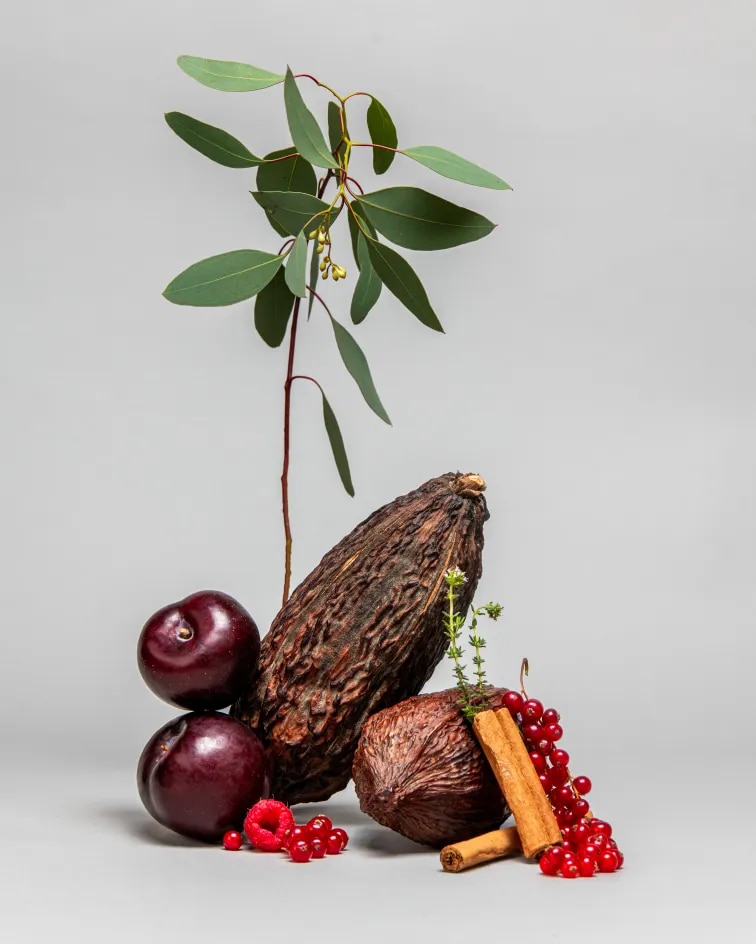 Representation of the tasting notes for Termes wine, from Bodega Numanthia: cocoa, cherries, redcurrants, cinnamon, cedar.